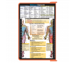 WhiteCoat Clipboard® - Coral Physical Therapy Edition